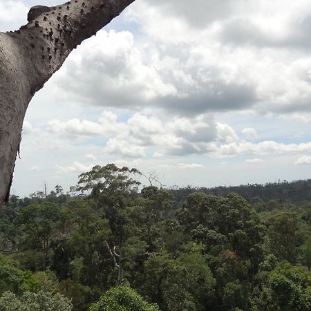 Samboja Lodge باليكبابان المظهر الخارجي الصورة