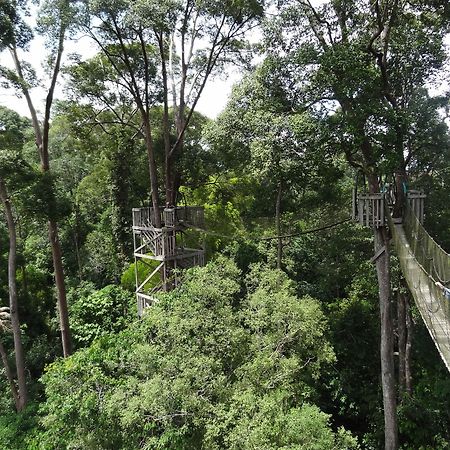 Samboja Lodge باليكبابان المظهر الخارجي الصورة