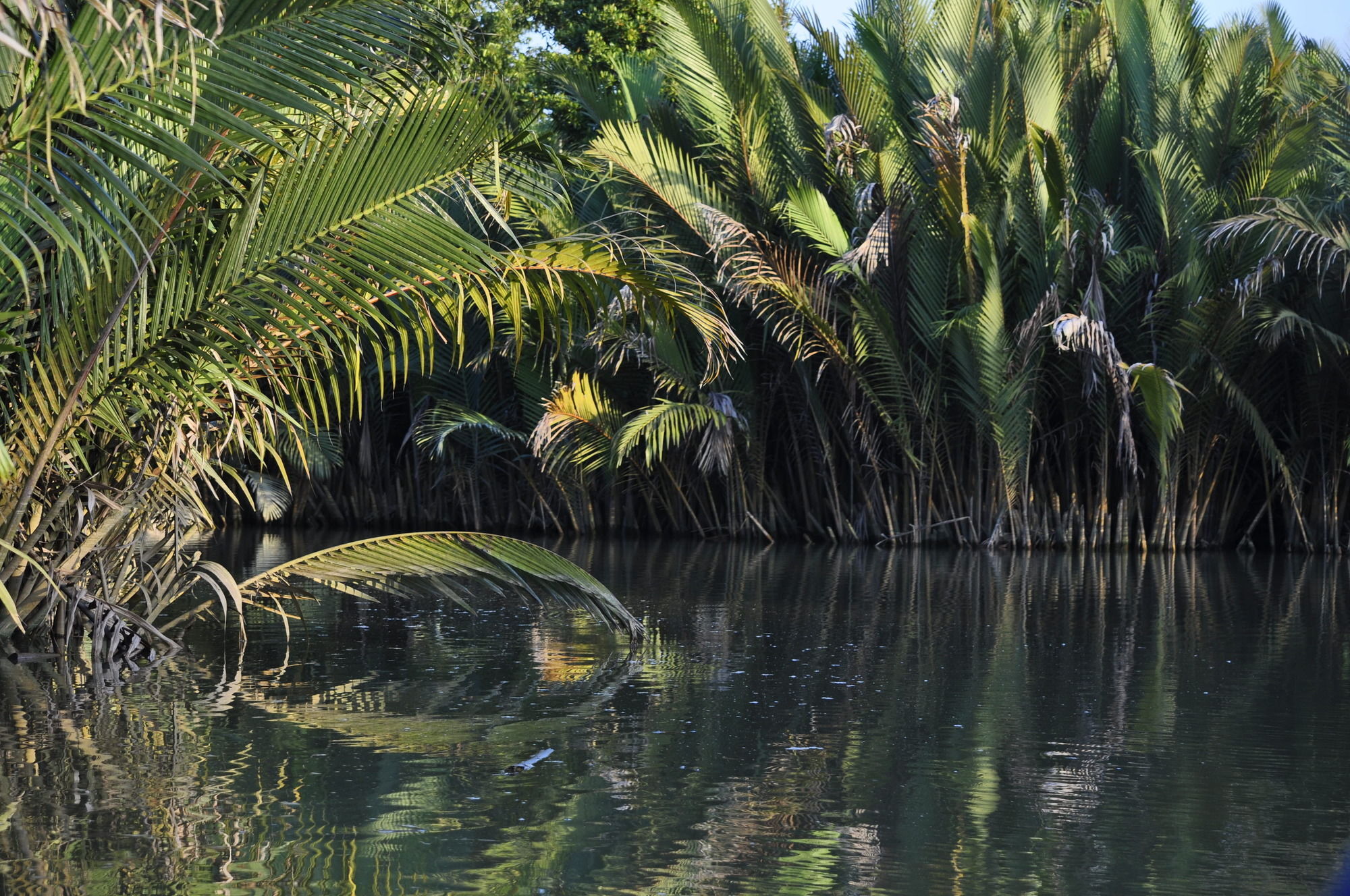Samboja Lodge باليكبابان المظهر الخارجي الصورة