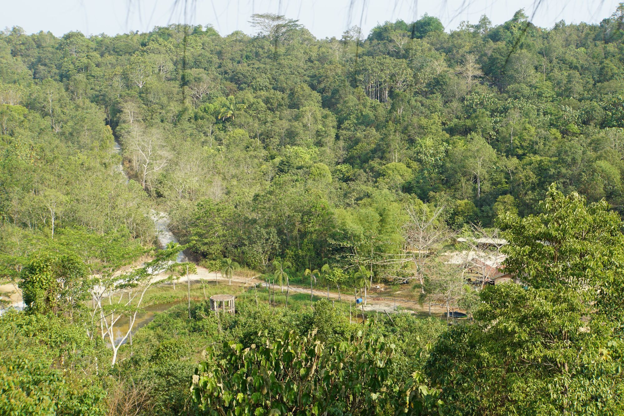 Samboja Lodge باليكبابان المظهر الخارجي الصورة