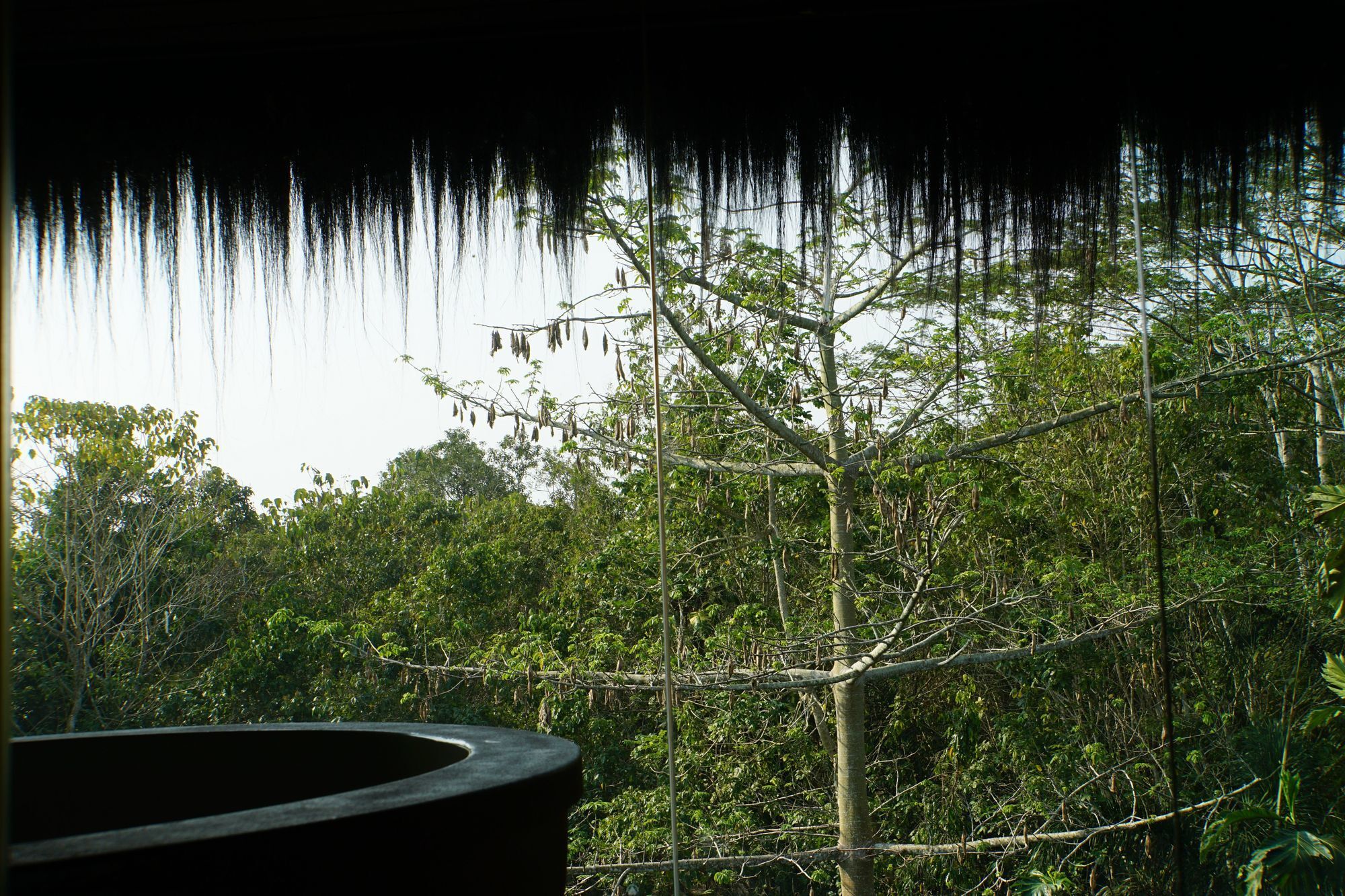 Samboja Lodge باليكبابان المظهر الخارجي الصورة