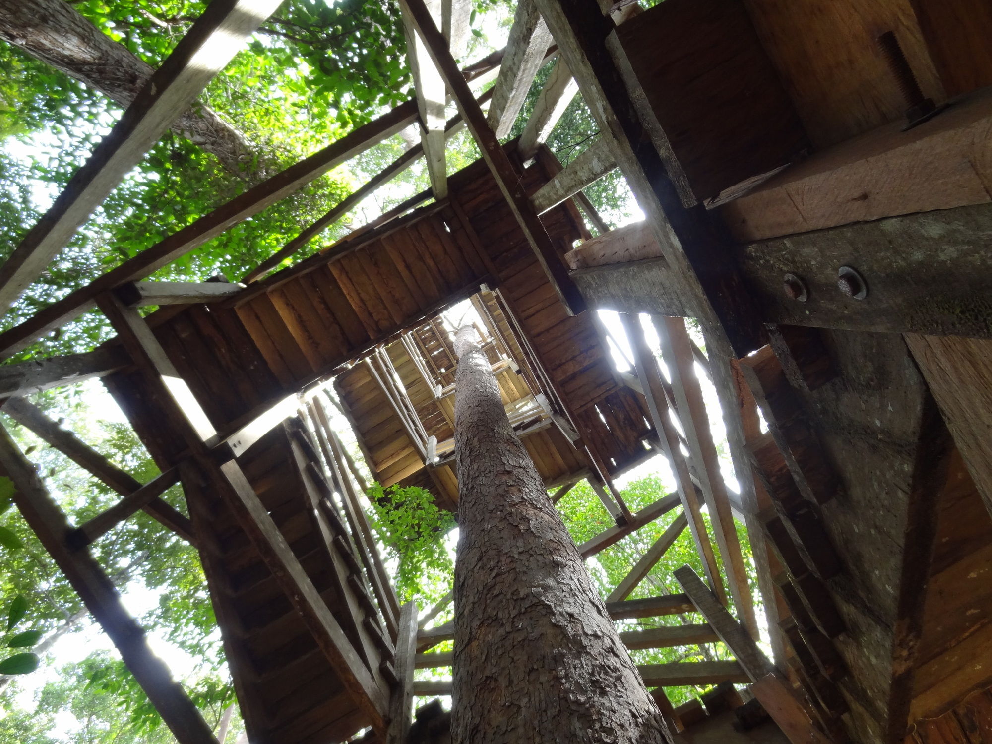 Samboja Lodge باليكبابان المظهر الخارجي الصورة
