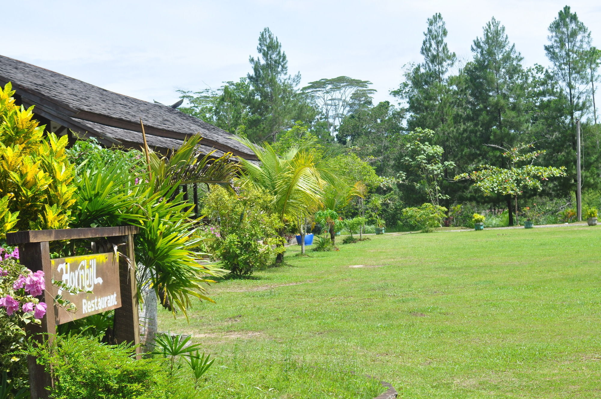Samboja Lodge باليكبابان المظهر الخارجي الصورة